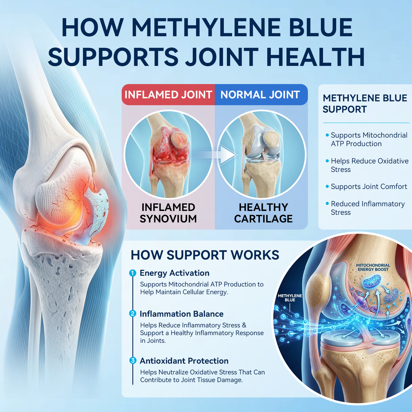 🫐Methylene Blue Gummies